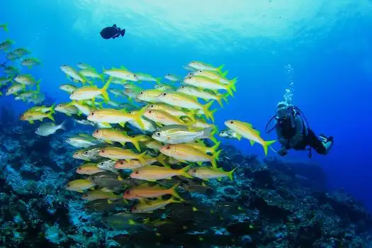 Rejs Discover Andaman