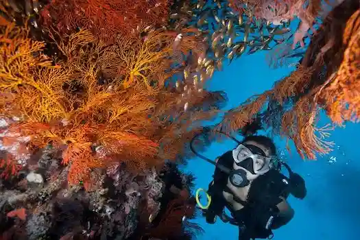 Rejs Andaman Safari